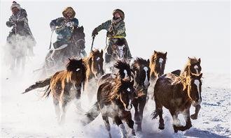 飞马最新爆料新闻,揭秘娱乐圈惊天大事件！