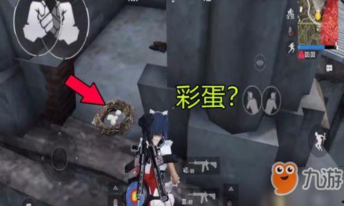 和平精英最新宠物爆料